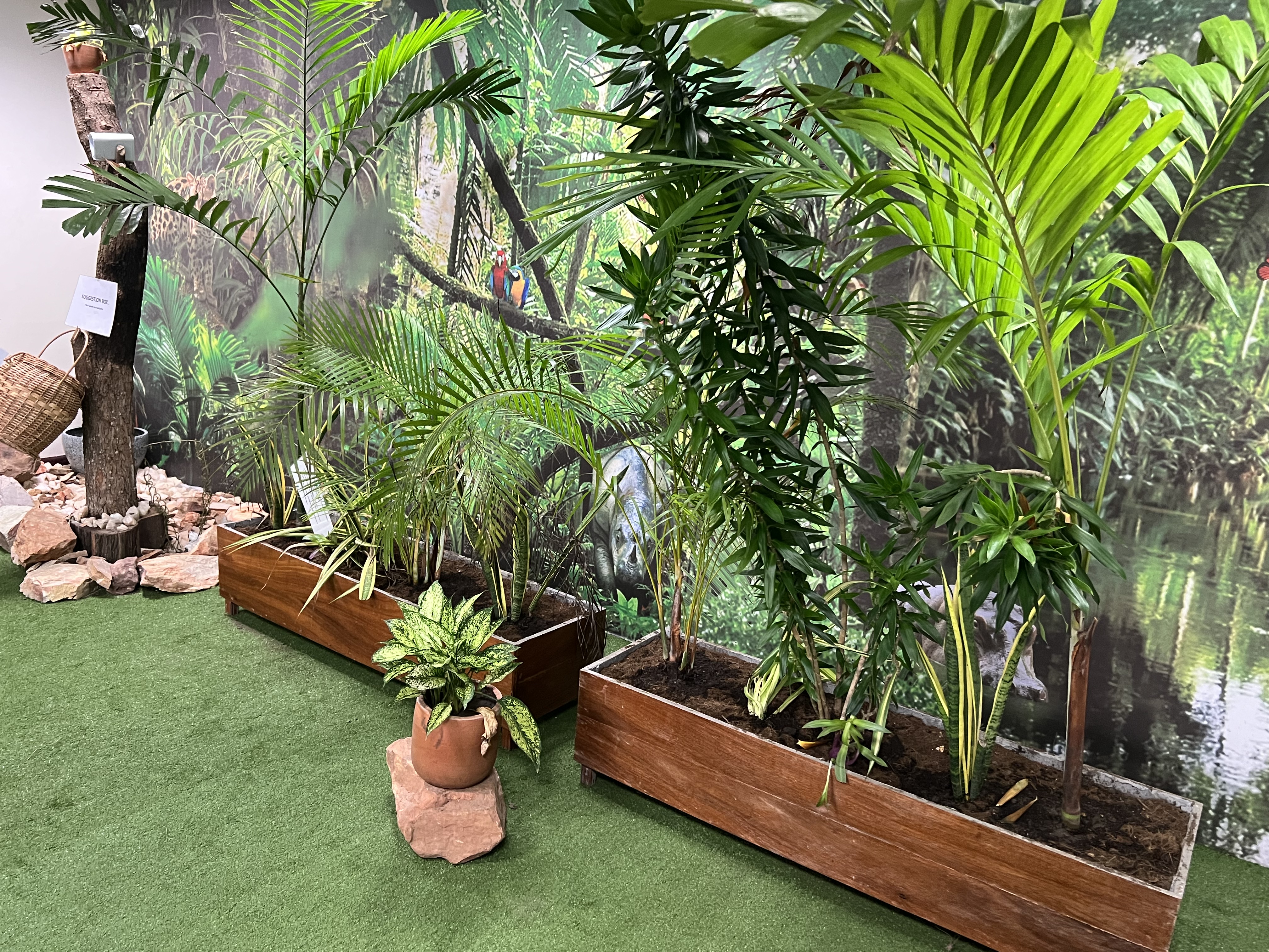 Sustainable library environment